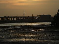 -宝安西湾红树林湿地公园