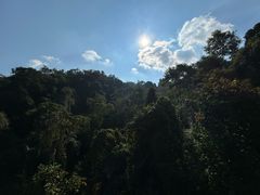 -野象谷景区
