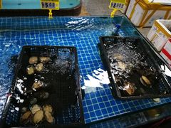 -渔人湾码头海鲜市场负二楼