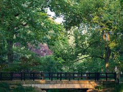 -上海共青森林公园