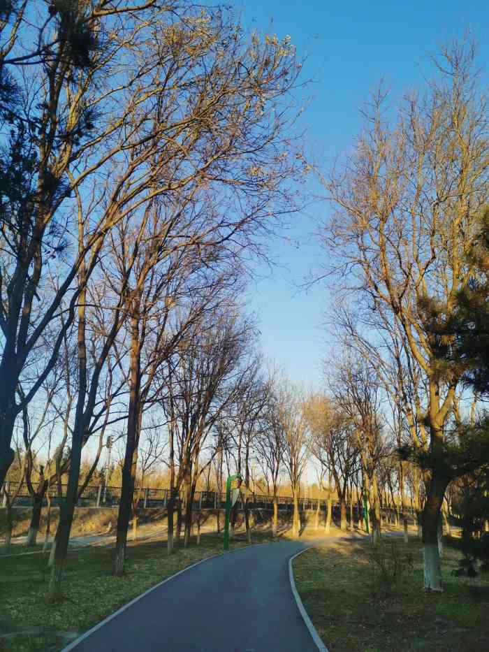 槐新公园-"南四环公益西桥西南角的公园,是免费的公园.