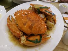 葱油膏蟹-金时代顺风大酒店(协泰店)