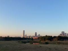 -苏州湾体育公园
