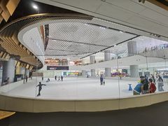 -TheRink大零溜冰场(IFS国金中心店)
