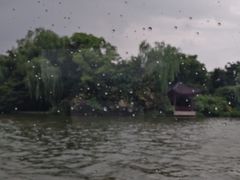 -西湖游船