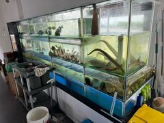 -海月湾海景餐厅( 嵊泗本地老字号店)