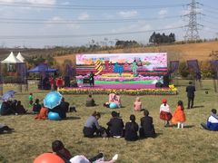 -紫颐香薰山谷景区