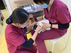 -芭比堂动物医院·犬猫全科·异宠专科(雁塔分院)