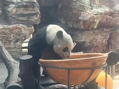 -石家庄市动物园