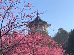 -无锡梅园公园