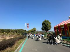 -光明小镇欢乐田园