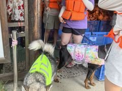 -安吉龙王山峡谷漂流