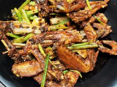 干锅鸭翅-掌上鲜(南顺城街店)
