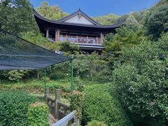 -十八棵（老龙井）御茶园(老龙井店)