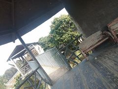-松山湖梦幻百花洲