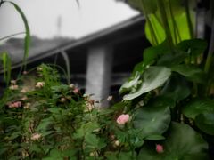 -远山有窑