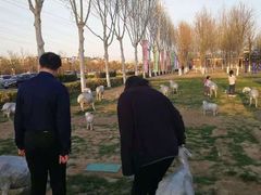 -九十九顶毡房(阜石路店)