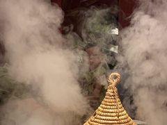 -芸山季·云南野生菌火锅(宝能环球汇店)