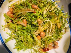 炝拌苦菊心-雲蜀龙阁·金牌水煮鱼(方庄店)