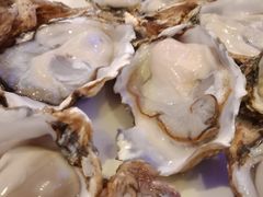 -千岛蚝高压锅生蚝·人参火锅(白云万达店)