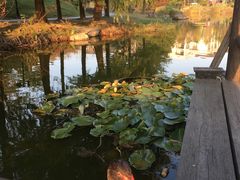 -浙江农林大学(东湖校区)