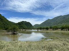 -大九湖