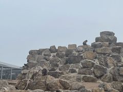 -太原动物园