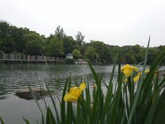 -白马涧龙池景区