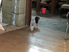 -酷鱼垂钓CLUB(朝阳区博大路店 )