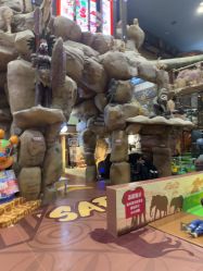 -卡通尼·Safari非洲探索乐园·生日会(金桥国际商业广场店)