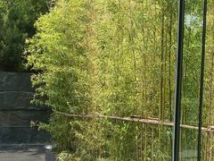 -外滩悦榕庄·海怡西餐厅