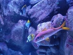 -成都浩海立方海洋公园