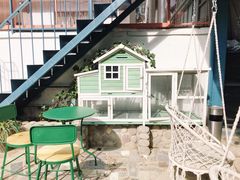 -喵屿·大理花园猫咖