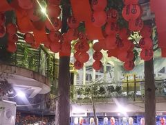 -正佳雨林生态植物园
