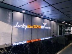 -金吉鸟健身游泳