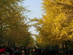 -辽宁大学(崇山校区)