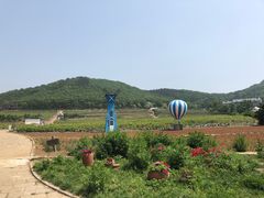 -金石滩蓝莓谷庄园