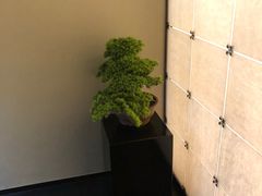 -湘上湘(米其林餐厅-正大中心总店)