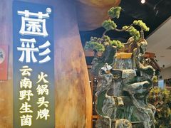 -菌彩云南野生菌火锅(万达广场店)