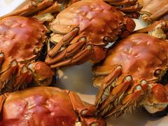 -喜来登由由大酒店九州膳坊中餐厅