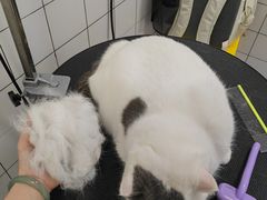 -拜鲁耶动物诊疗中心·宠家动物医院