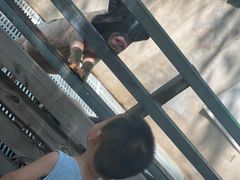 -北京鹿世界主题园