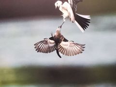 -德基艺术博物馆