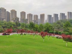 -龙头寺公园