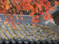-灵隐飞来峰景区