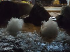 -大理地热国