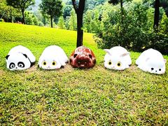 -云溪植物园