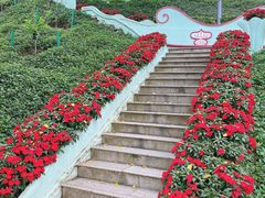 -龙环葡韵住宅式博物馆