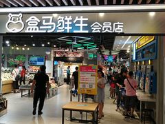 门面-盒马鲜生(曜一城店)