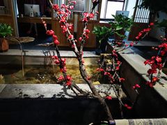 -盘子女人坊(西安至尊店)